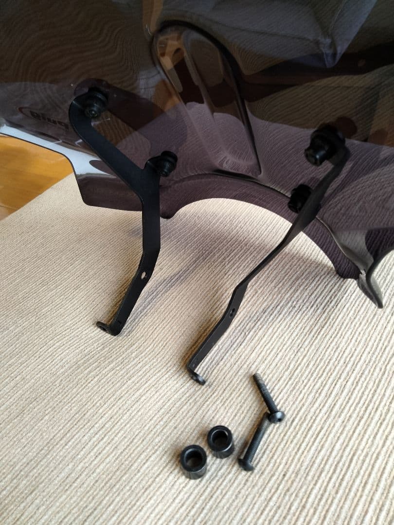 Puig シールド ダークスモーク　スヴァルトピレン401（2021年式に使用）