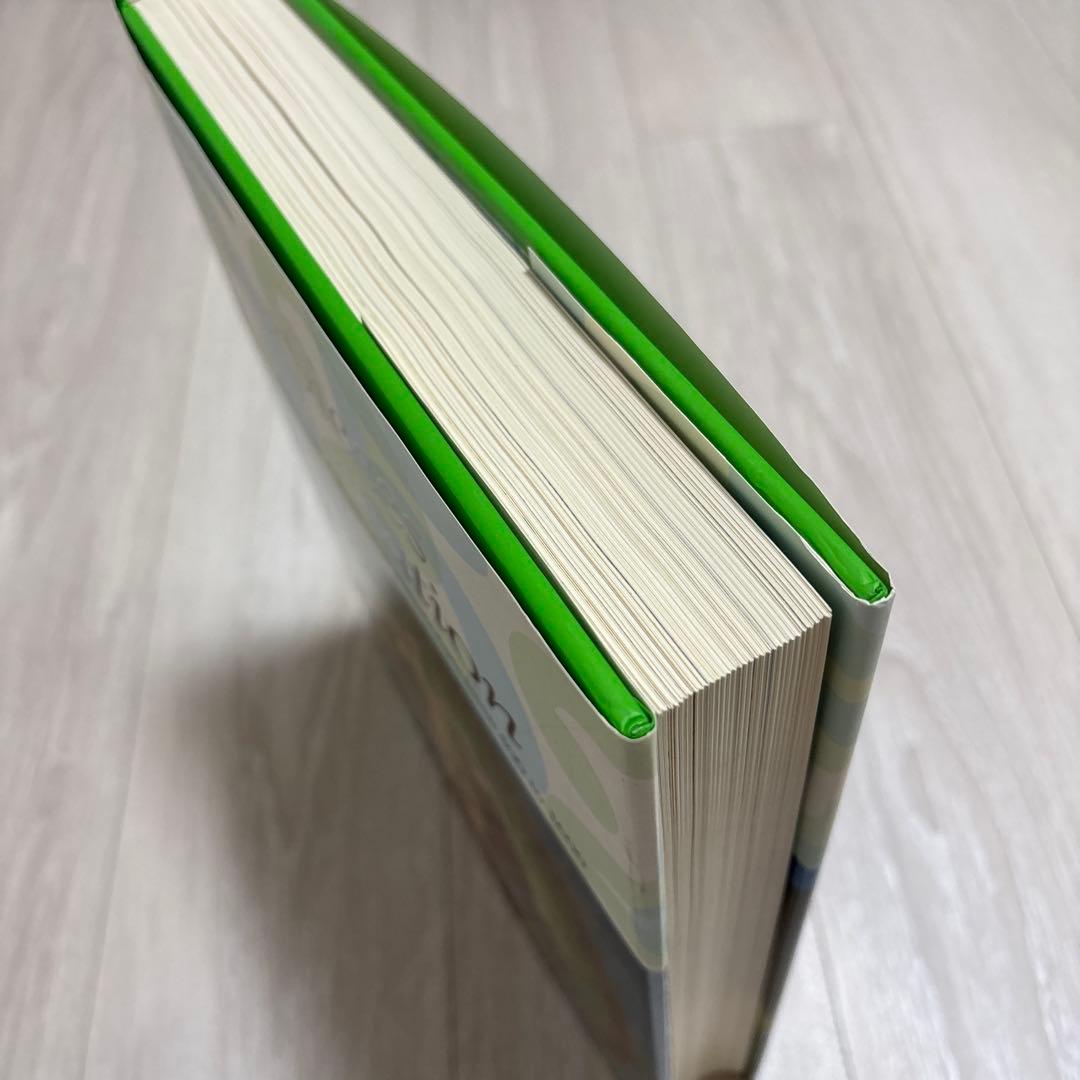 Masterpieces of Illumination 彩飾写本集　新品　英文