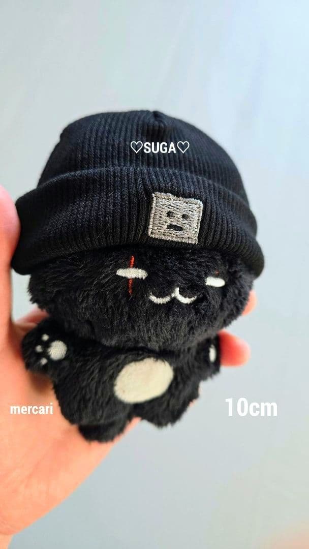 BTS ぬいぐるみ 10cm SUGA AgustD ユンギ テテ ジン ジミ