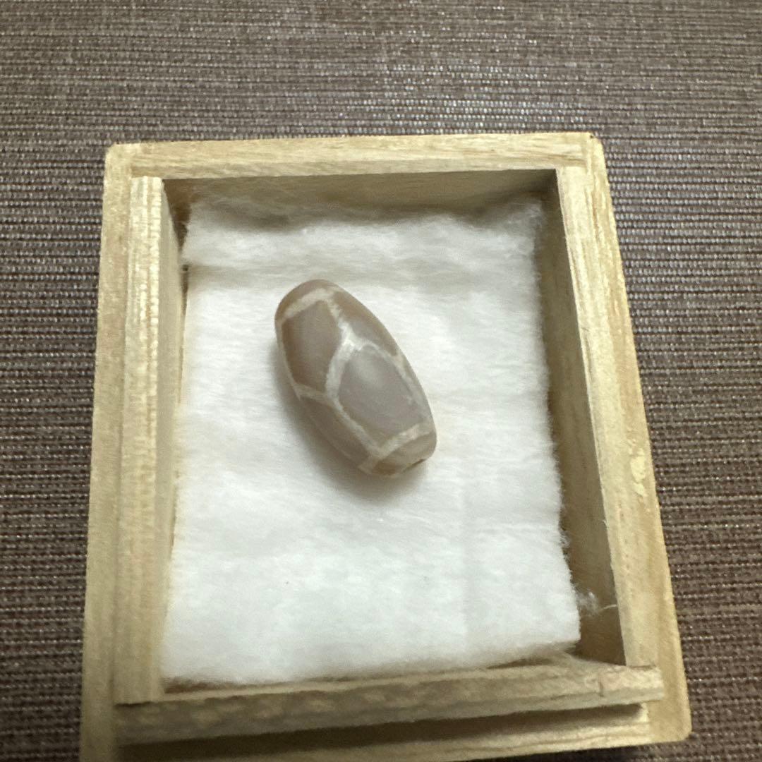 紅朱砂　亀甲EC