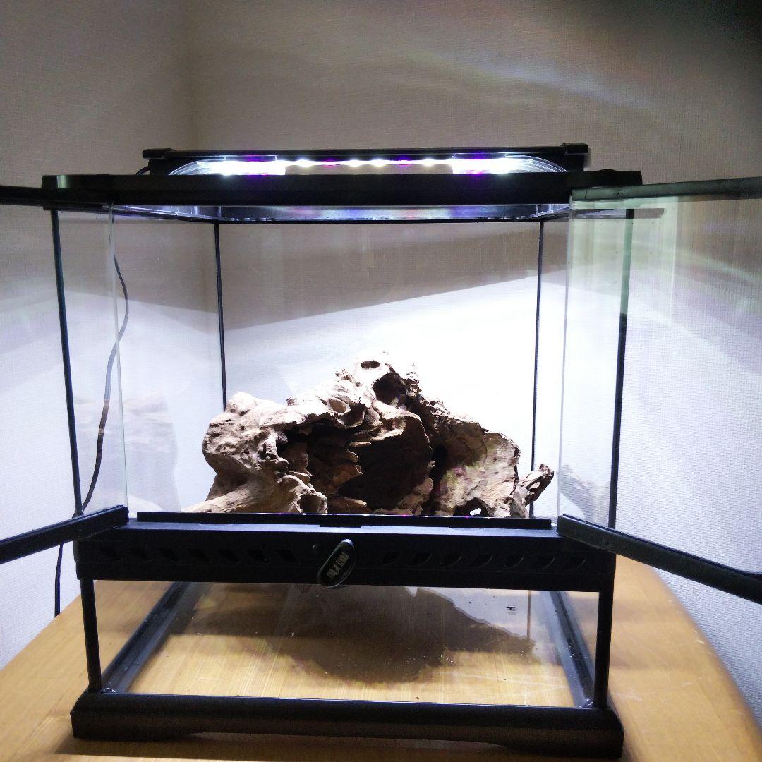 フトアゴヒゲトカゲ飼育　爬虫類飼育ケージ