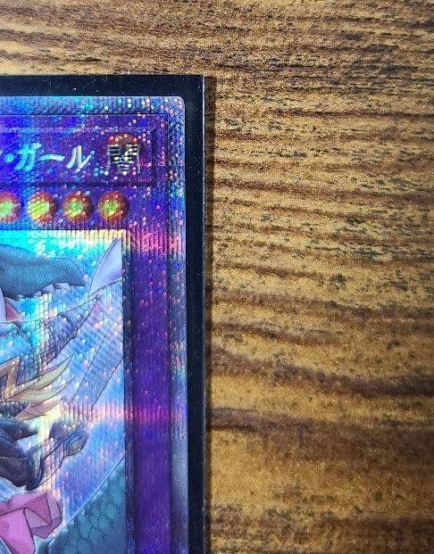 竜騎士ブラックマジシャンガール プリズマティックシークレット ディスプレイケース