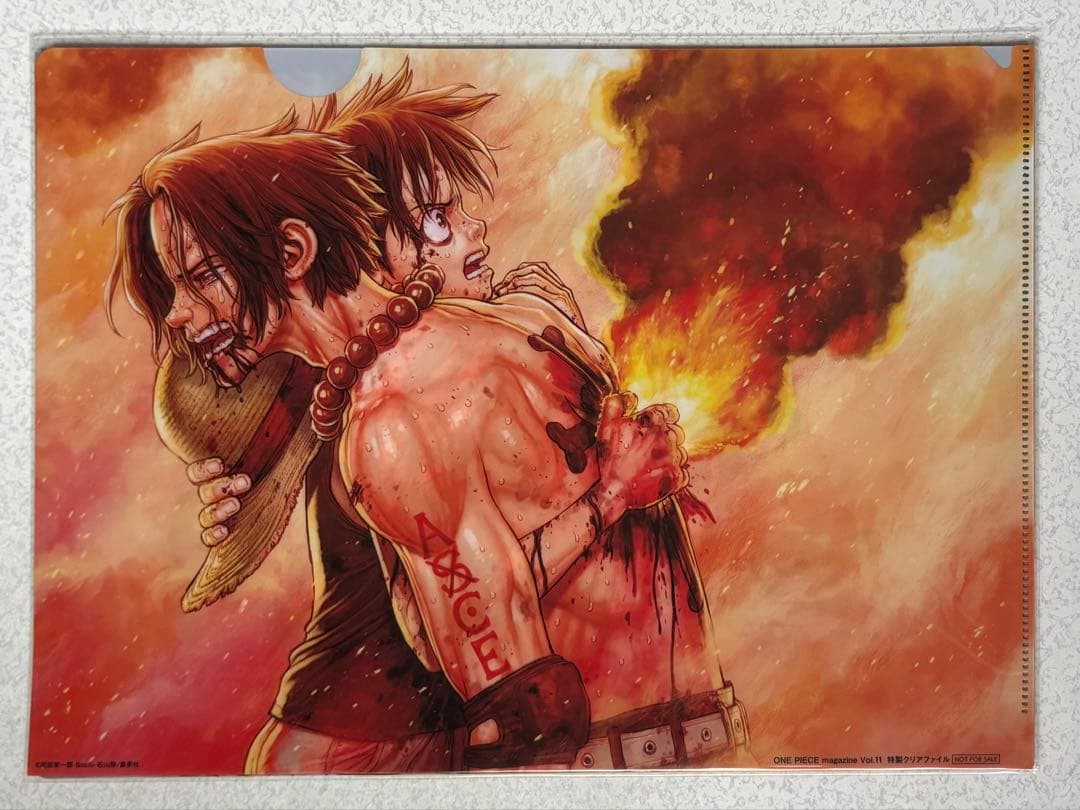 ワンピースマガジンVol.11 懸賞当選品 特製クリアファイル