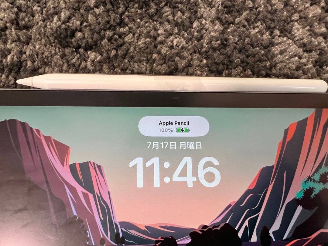 アップル Apple Apple Pencil 第2世代 [MU8F2J/A]