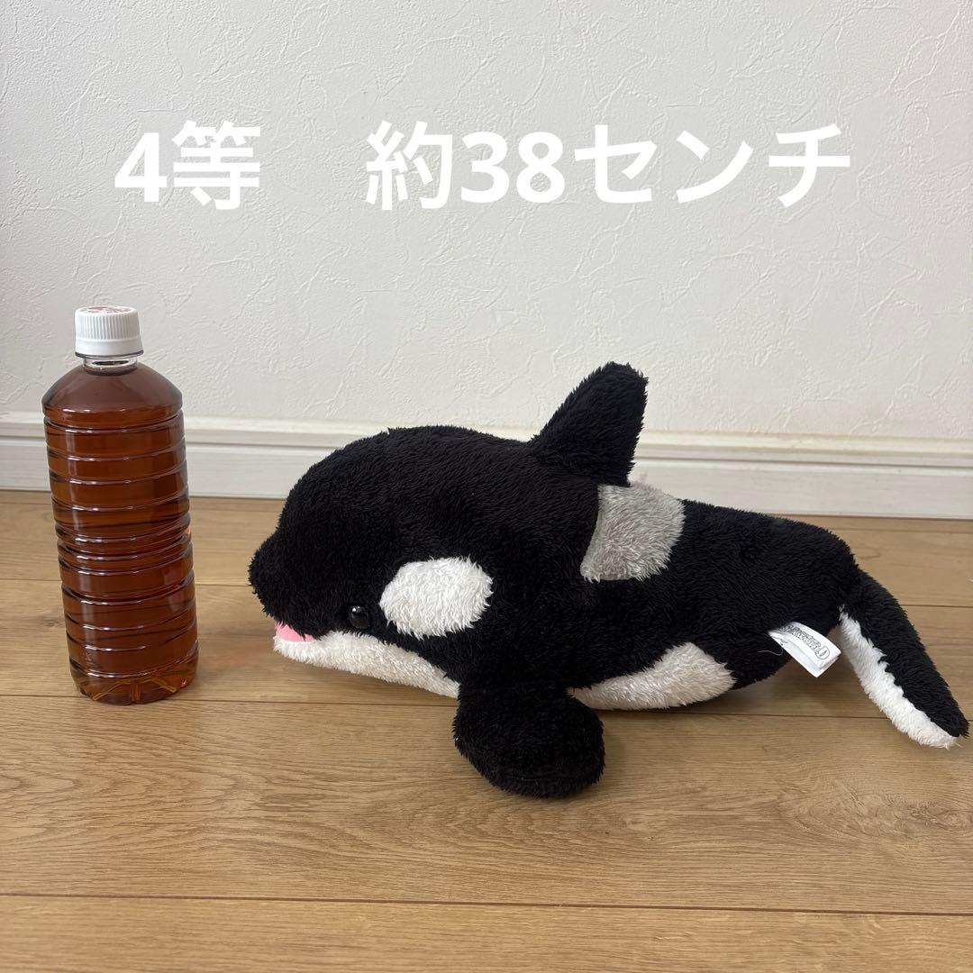 シャチ　ぬいぐるみ4体セット
