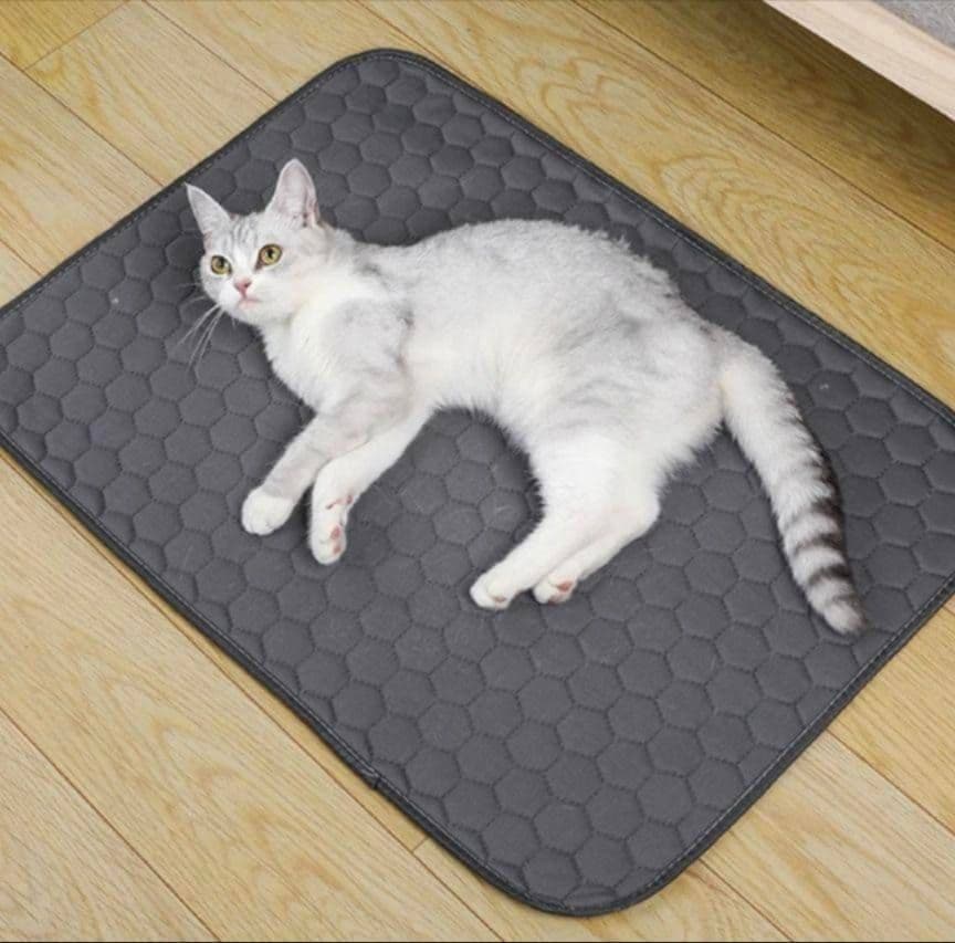 【新品】トイレ　ペットシート　吸水　おしっこ　犬　猫　2枚組　洗える　グレー