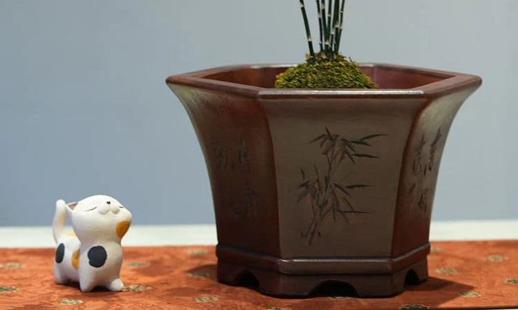 中国宜興 紫砂鉢 盆栽鉢 植木鉢 小品盆栽鉢 大品盆栽鉢