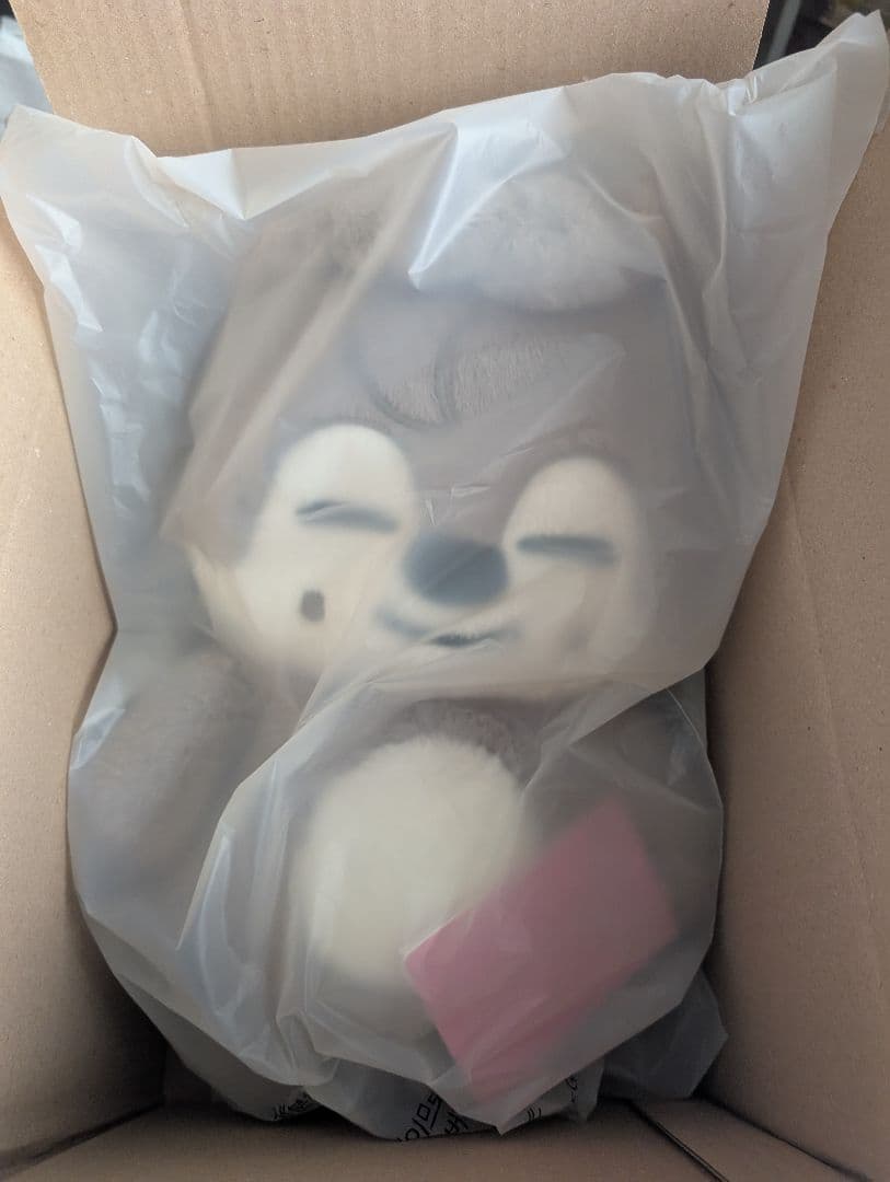 【未開封】StrayKids SKZOO テディベア ぬいぐるみ バンチャン