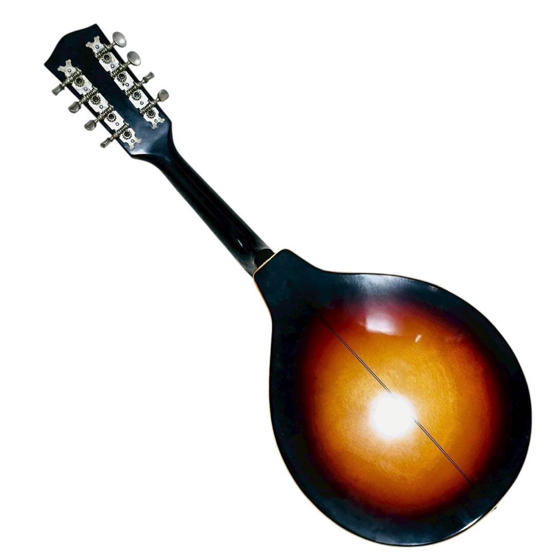 JUMBOマンドリン サンバースト ハードケース付き