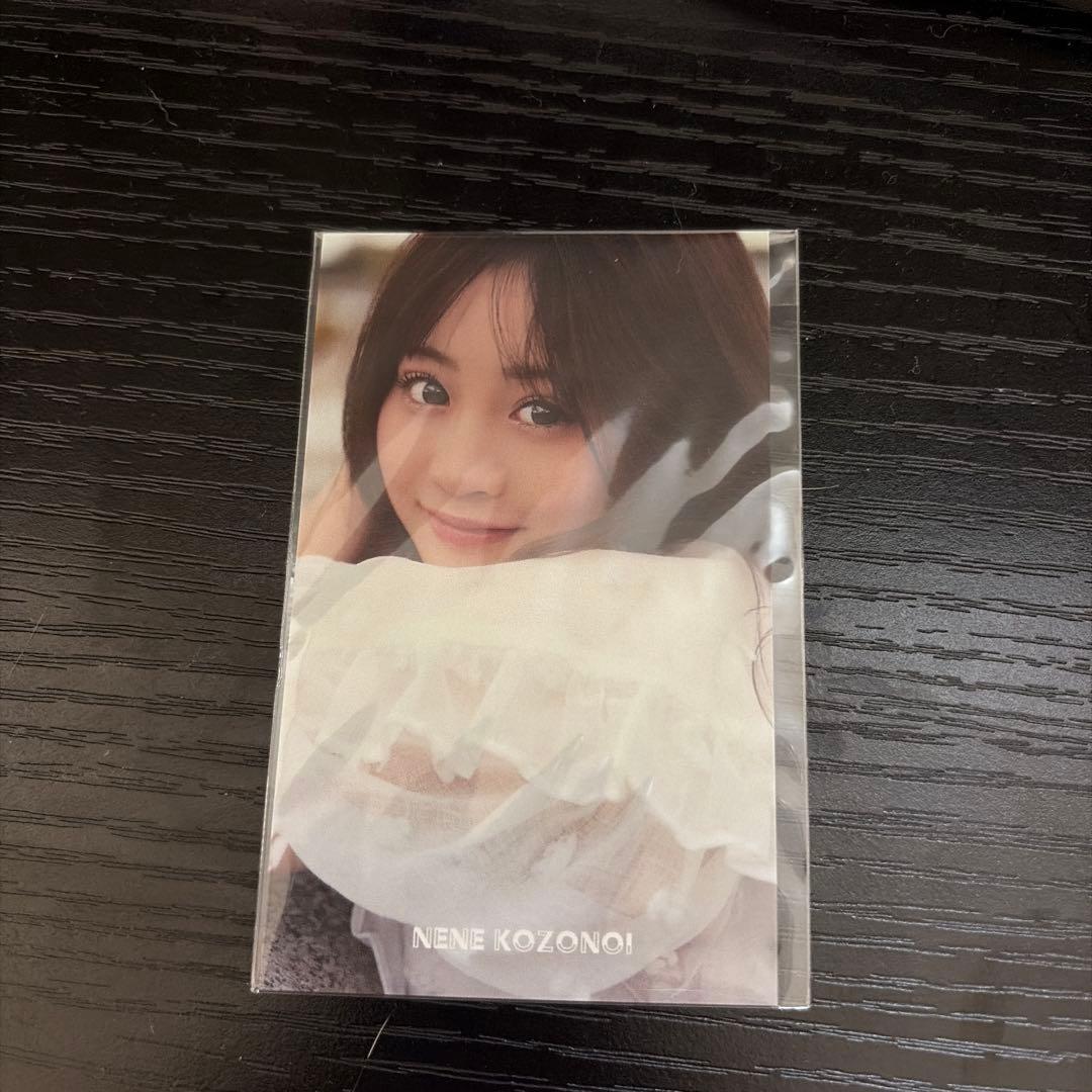 古園井寧々スタイルブック「ねねのおと」 発売記念ラッフルくじ　くじ