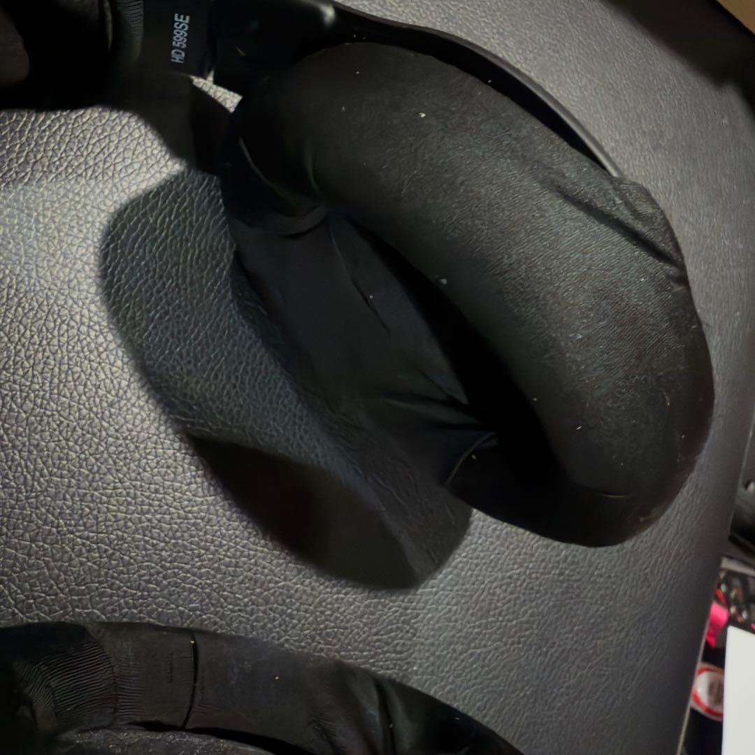 Sennheiser ヘッドホン HD 599 SE + EarProfit