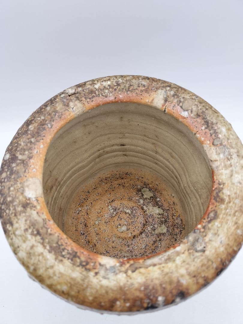 c507 信楽水指 高橋楽斉 木箱 茶道具 古物