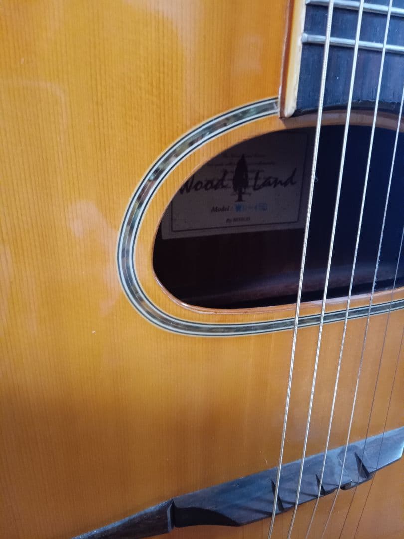 マカフェリギター アコースティックギター