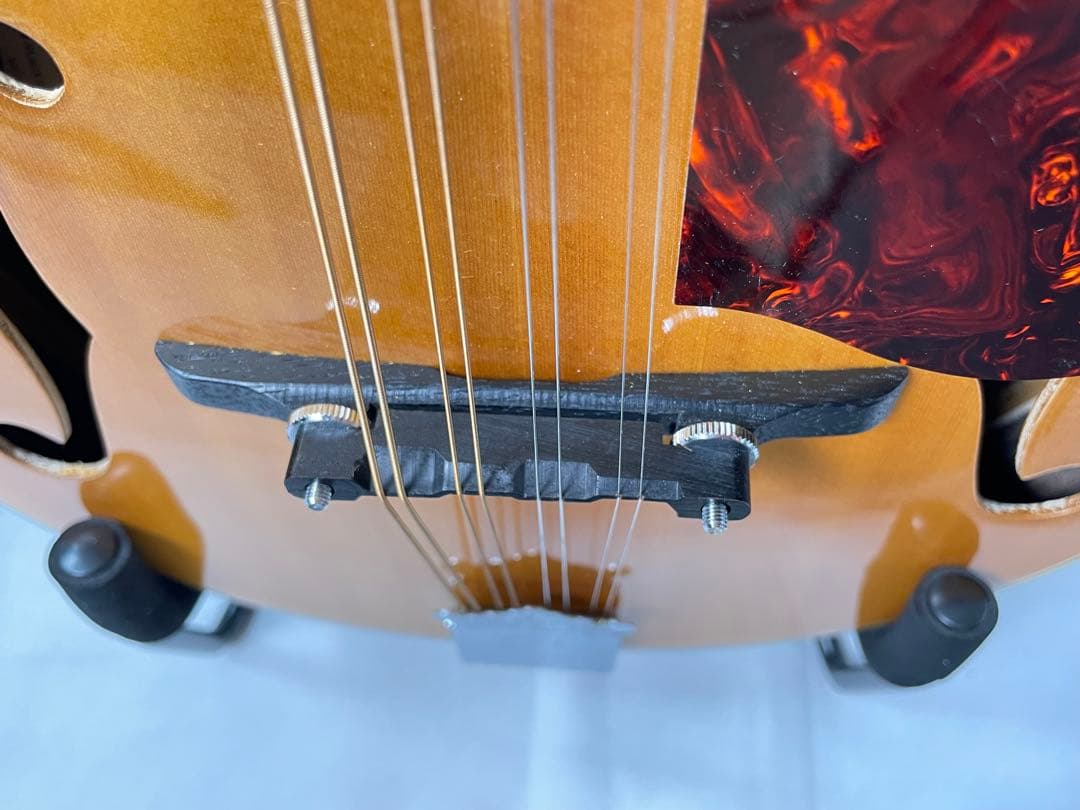 春日マンドリン M-30 カスタムモデル ジャパンビンテージ