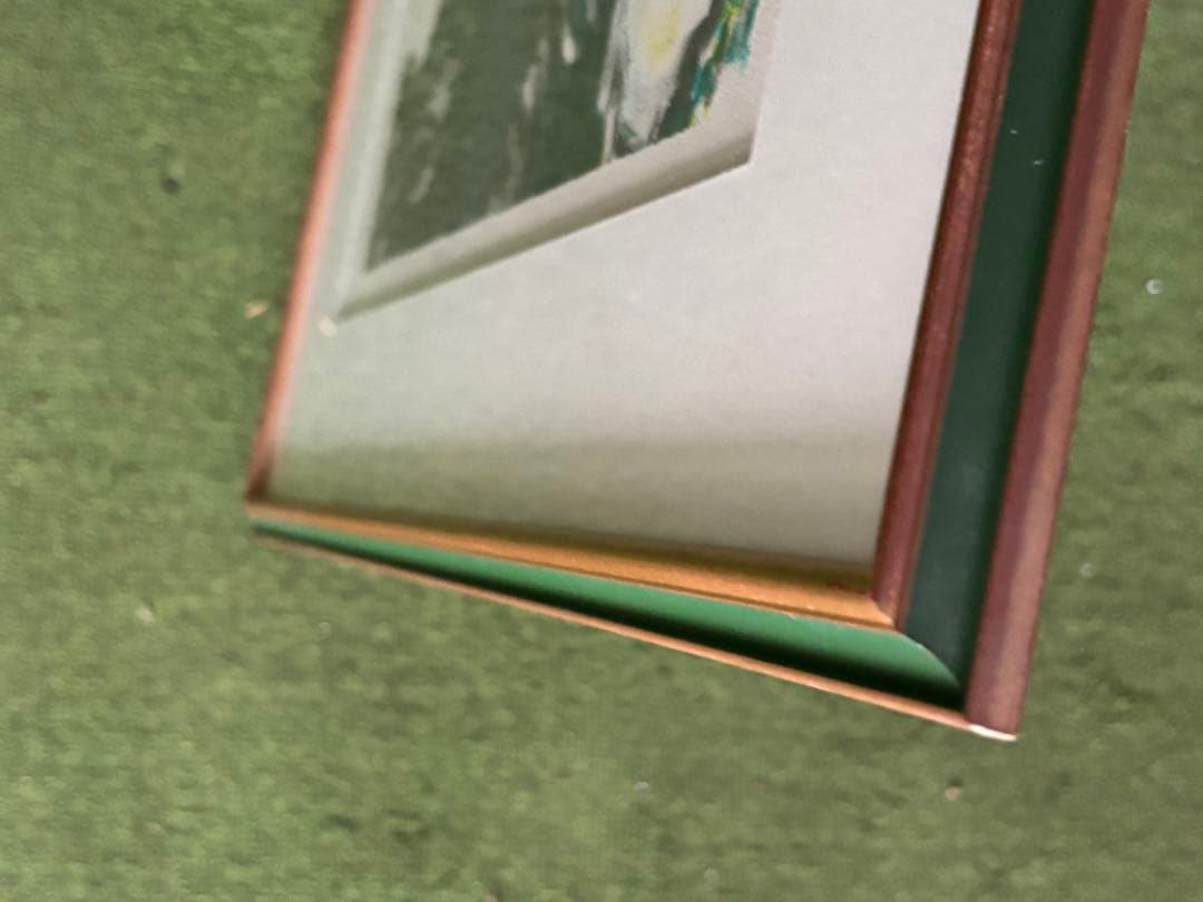 カシニョール　リトグラフ 作者　サイン入り