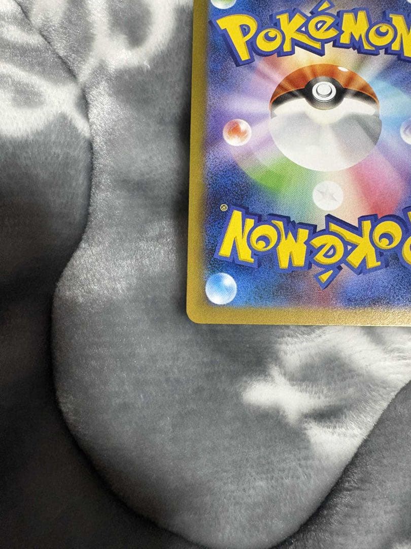 【美品】インフェルノX メガリザードンX ex SAR 110/080