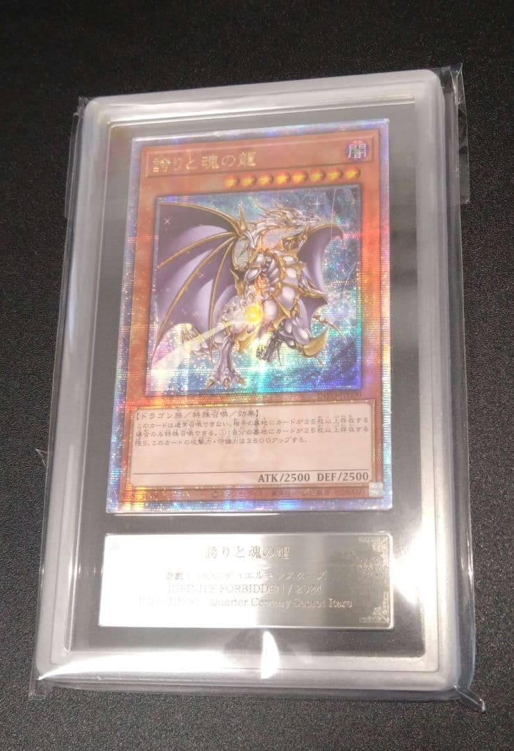 【ARS10】誇りと魂の龍