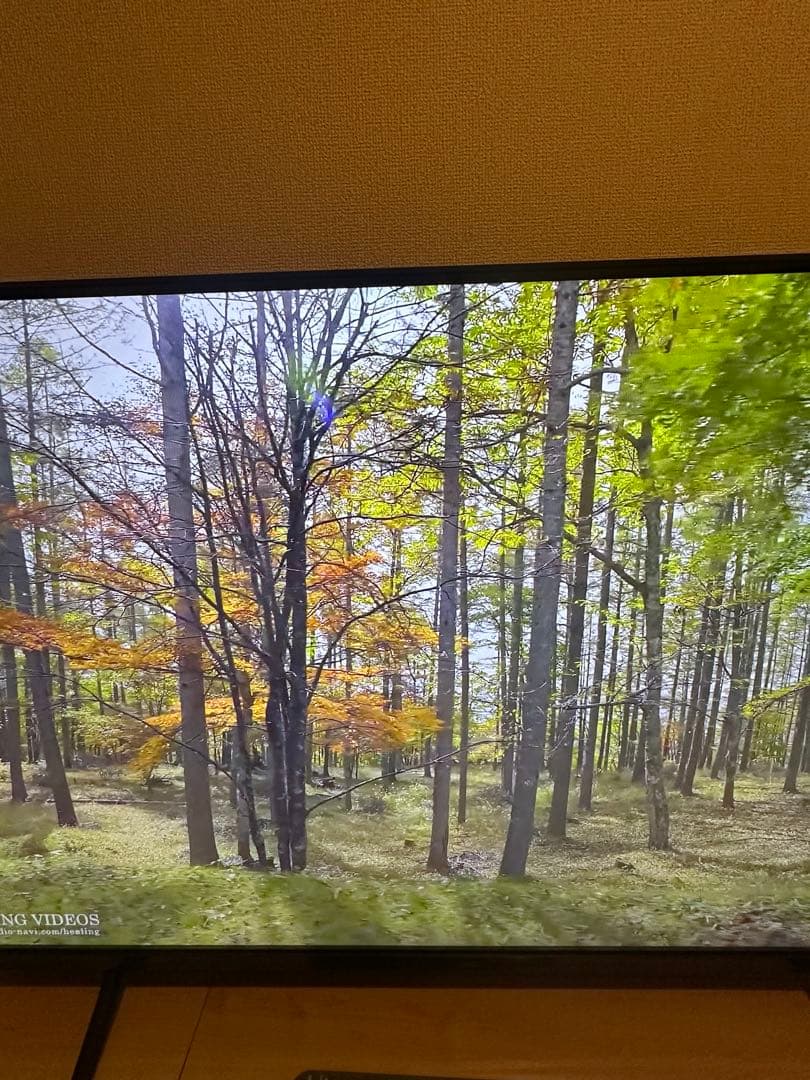 送料込み！JVC JL-43YX10 Fire TV搭載 4K液晶テレビ 43V