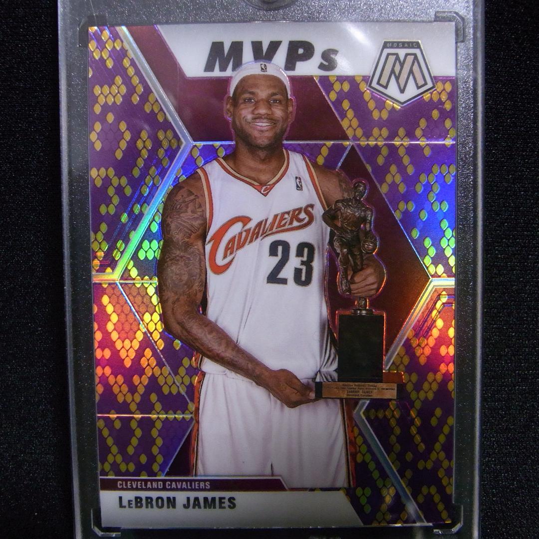 【20シリ】LeBron James PURPLE GOLD SNAKESKIN