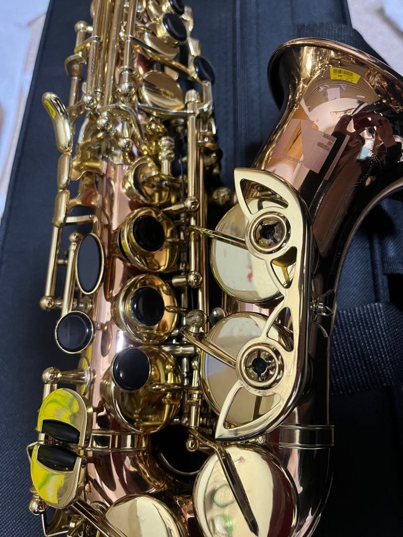 【新品】銅管体 カーブドソプラノサックス