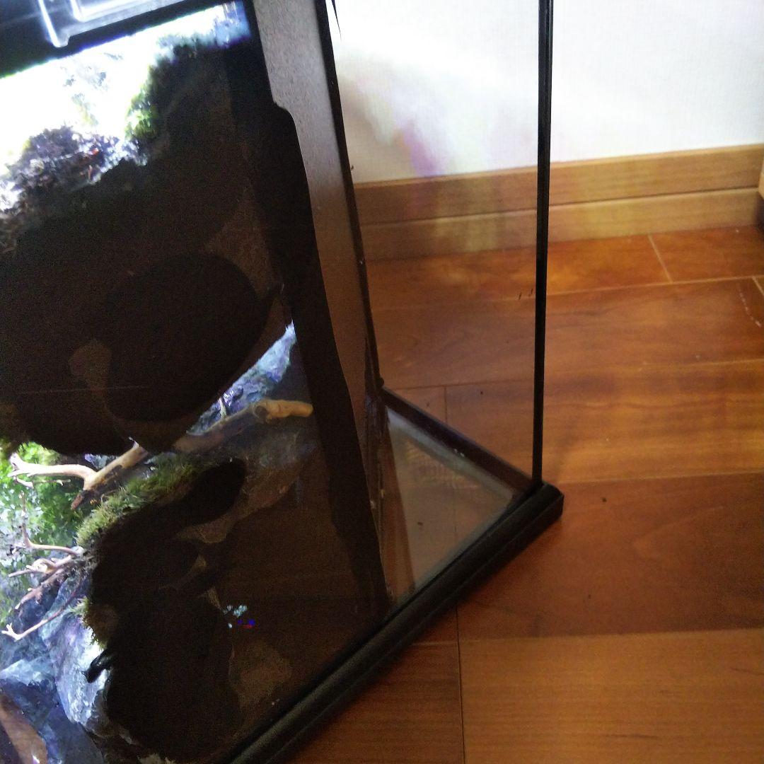 【受注生産】グラステラリウム3030　イモリウム　苔テラリウム