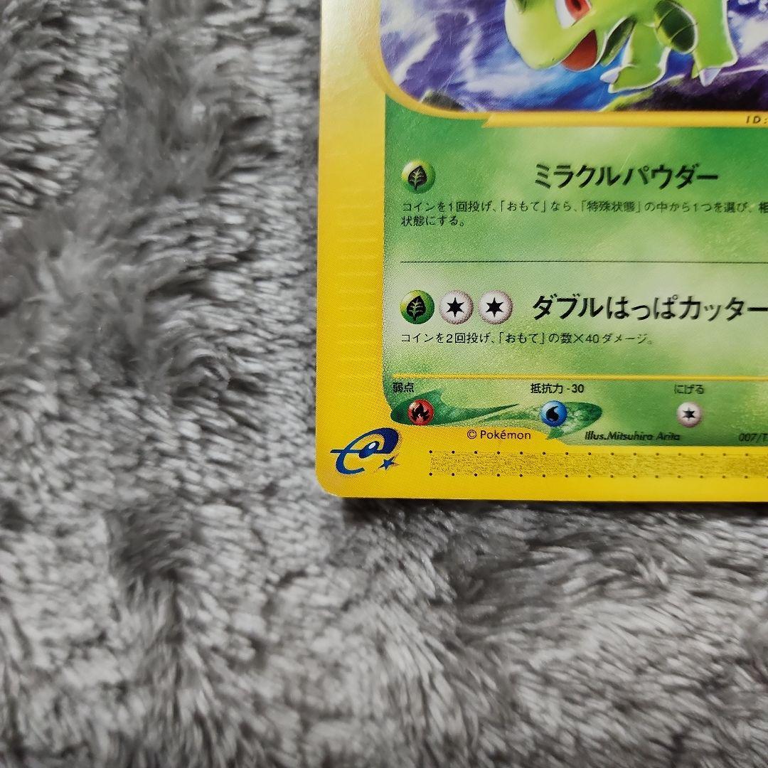 ベイリーフ・アリゲイツ・マグマラシ トレーナーズマガジンプロモカード