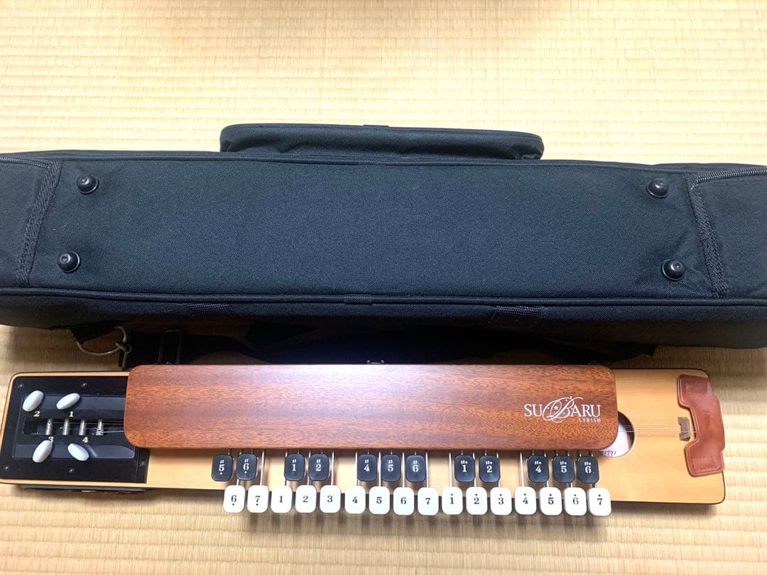 【送料込】大正琴 ライリッシュ スバル　ソプラノ