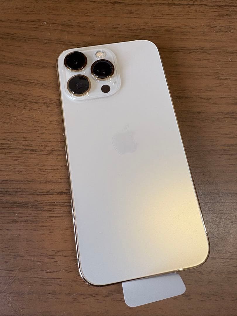 Apple iPhone 13 Pro シルバー 本体 充電ケーブル付き