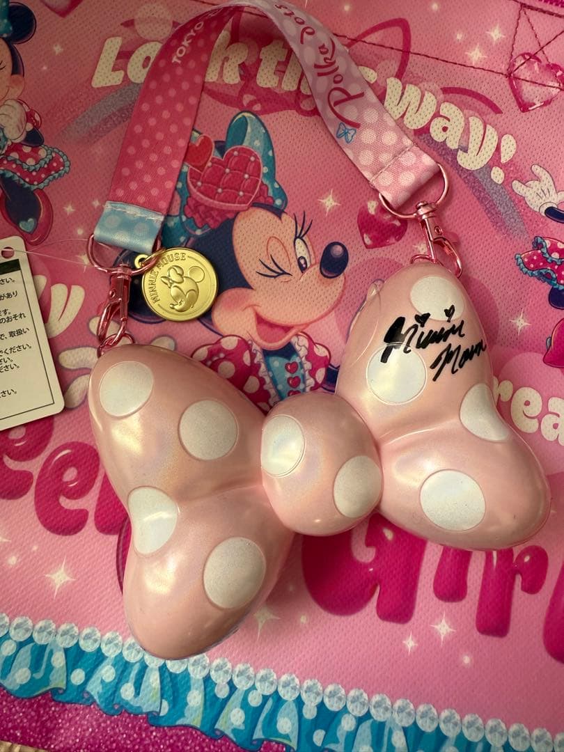 ディズニー パルパルーザ ミニー ファンダーランド スナックケース