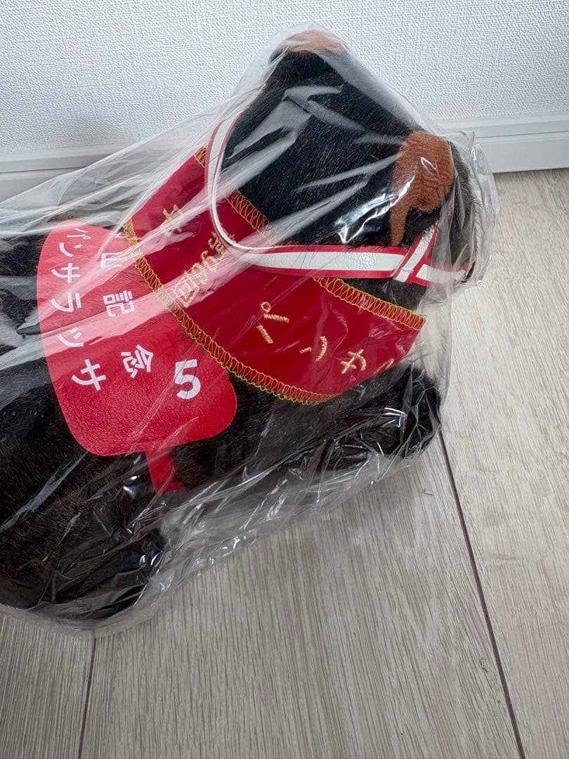 第90回中山記念　パンサラッサ