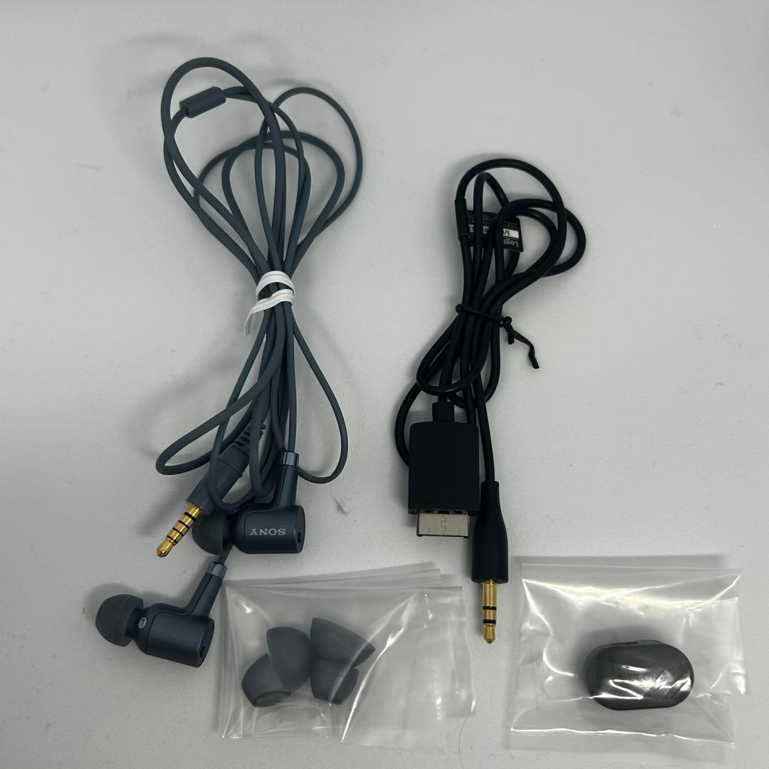 Walkman NW-A55 ムーンリッドブルー