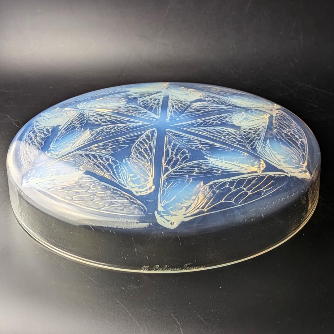 ラリックCigales 1921年セミ紋様26cm大蓋物 純正台座付　極希少