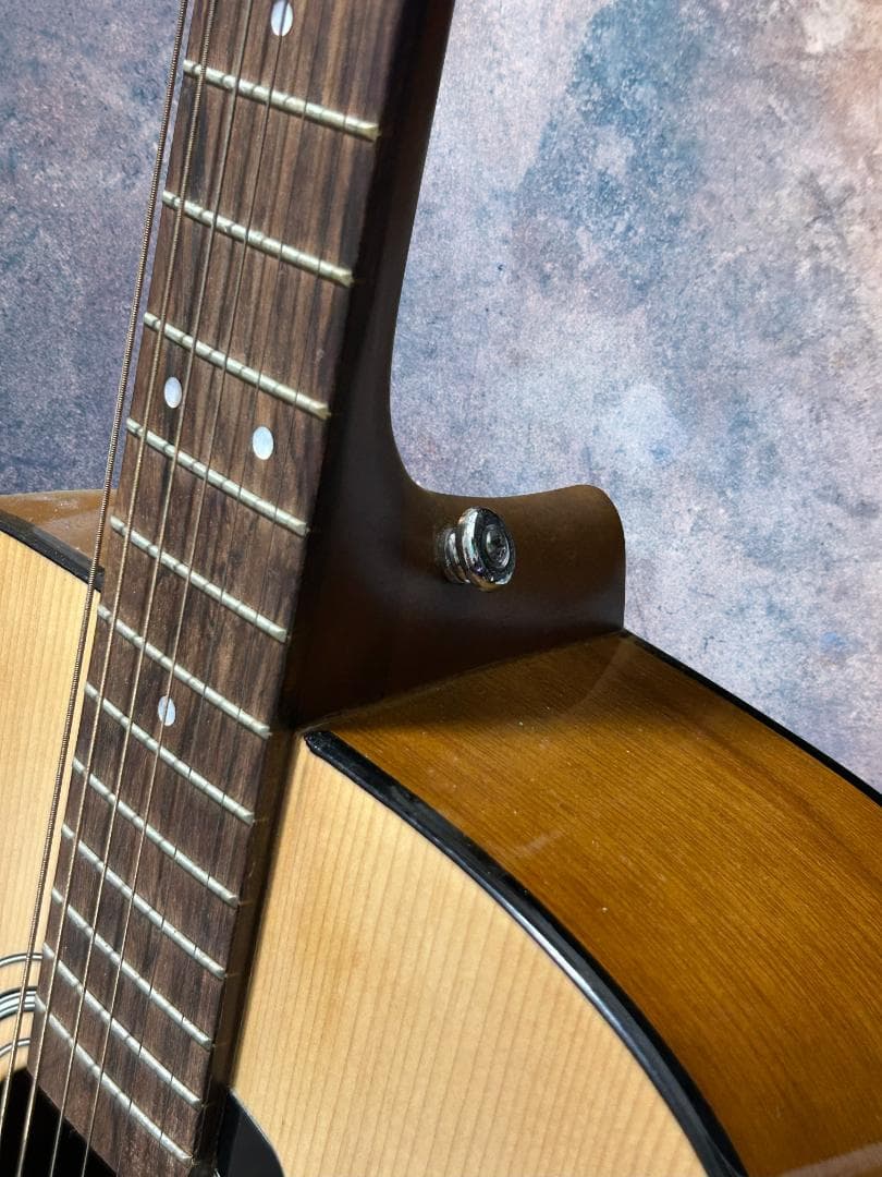 【初心者におすすめ！】YAMAHA F315D-NT / アコースティックギター