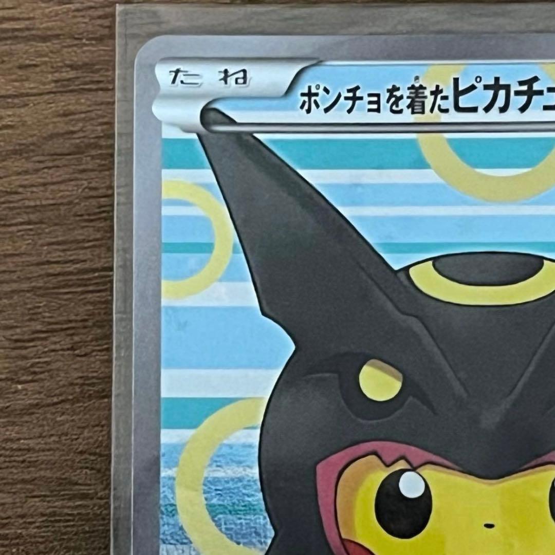 ポンチョを着たピカチュウ　黒　レックウザ