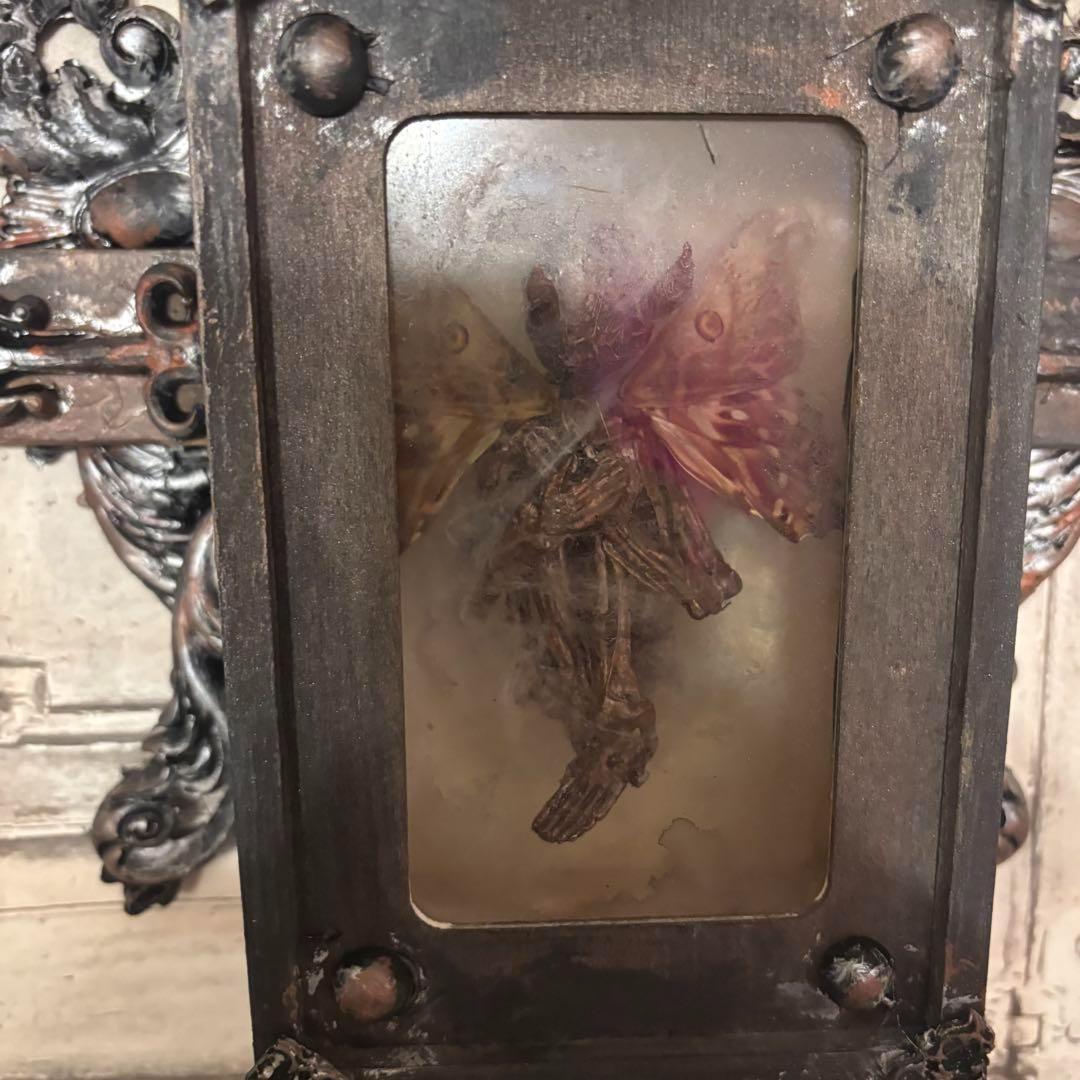 【Special Price】 妖精剥製十字架標本箱