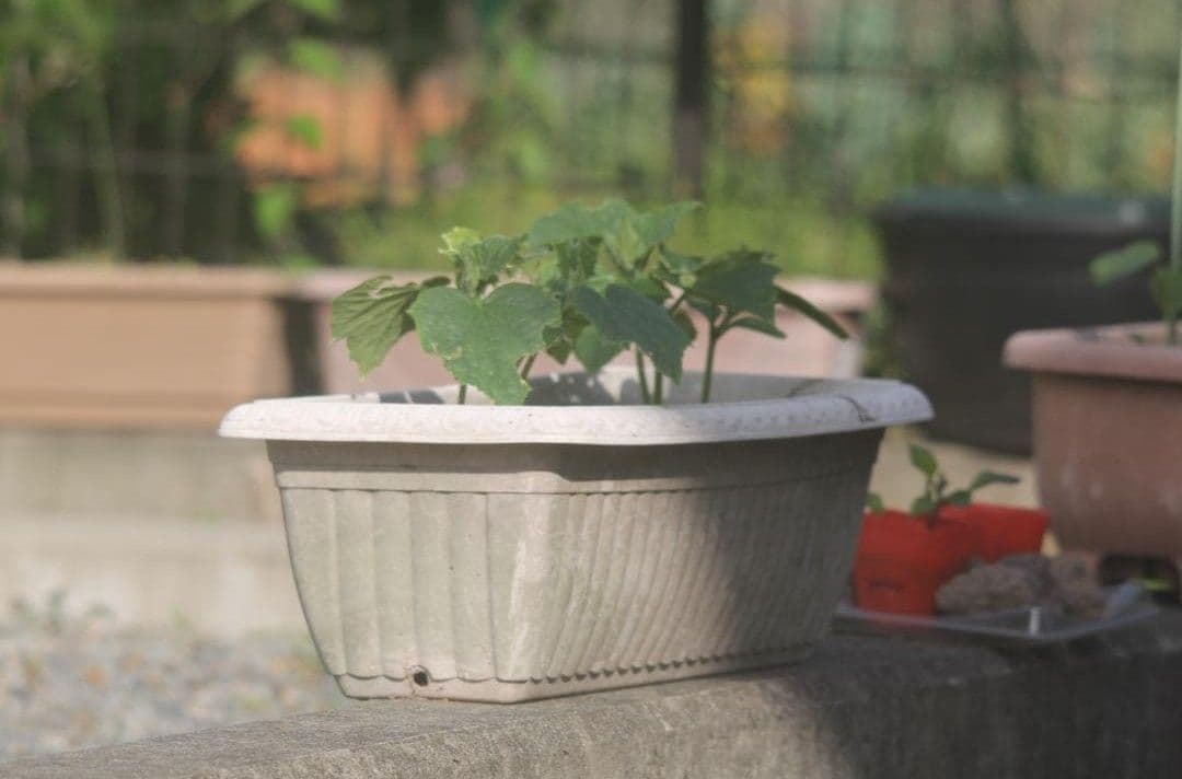 【あ 】シグマ APO 150-500mm F5-6.3 DG キャノン用