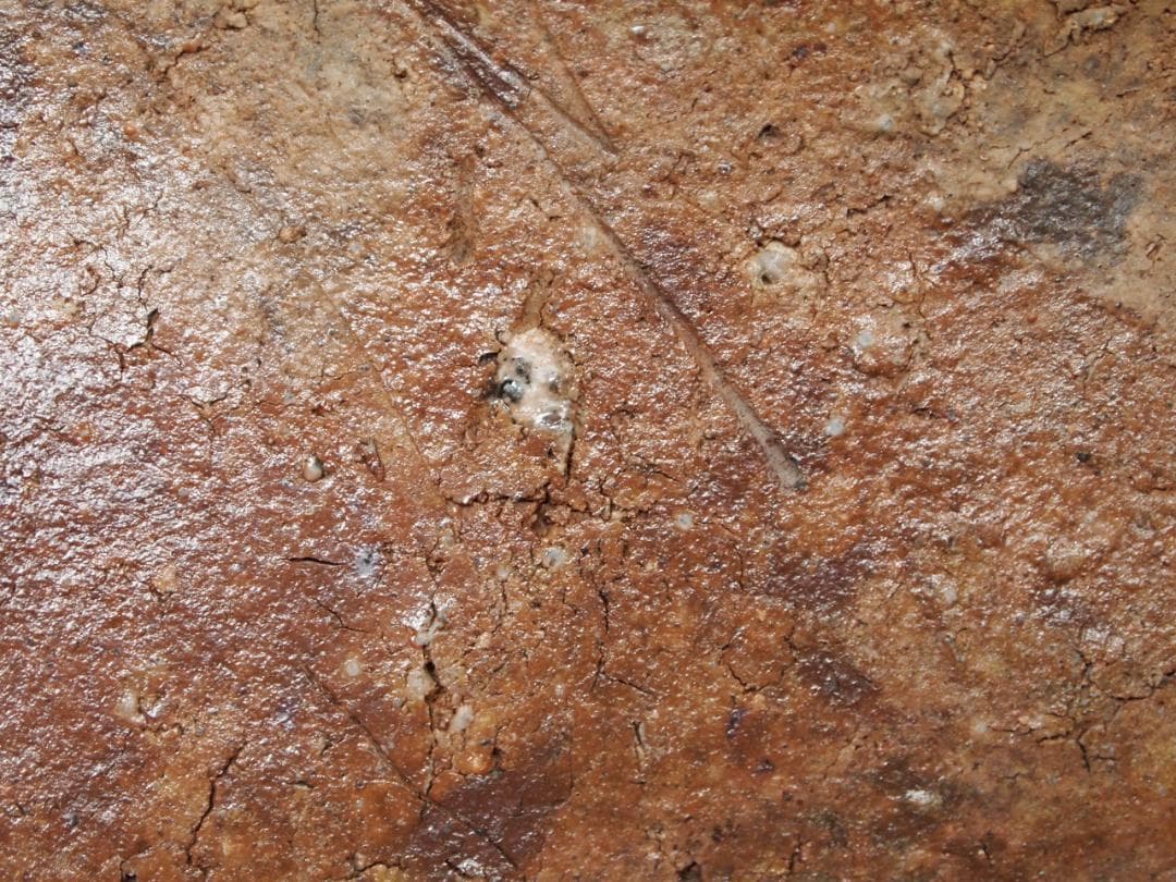 希少作★原田拾六★備前《牡丹餅》四方皿