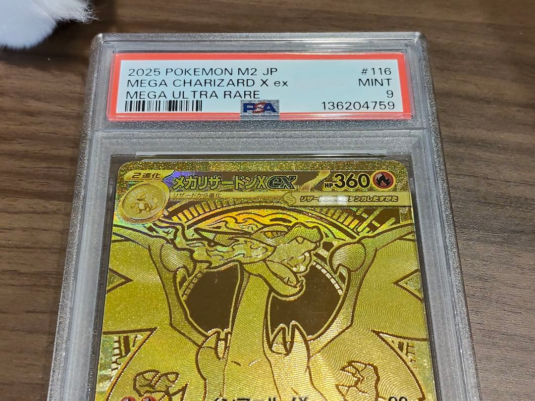 PSA9 リザードン x ex MUR インフェルノX 116/080 ポケカ