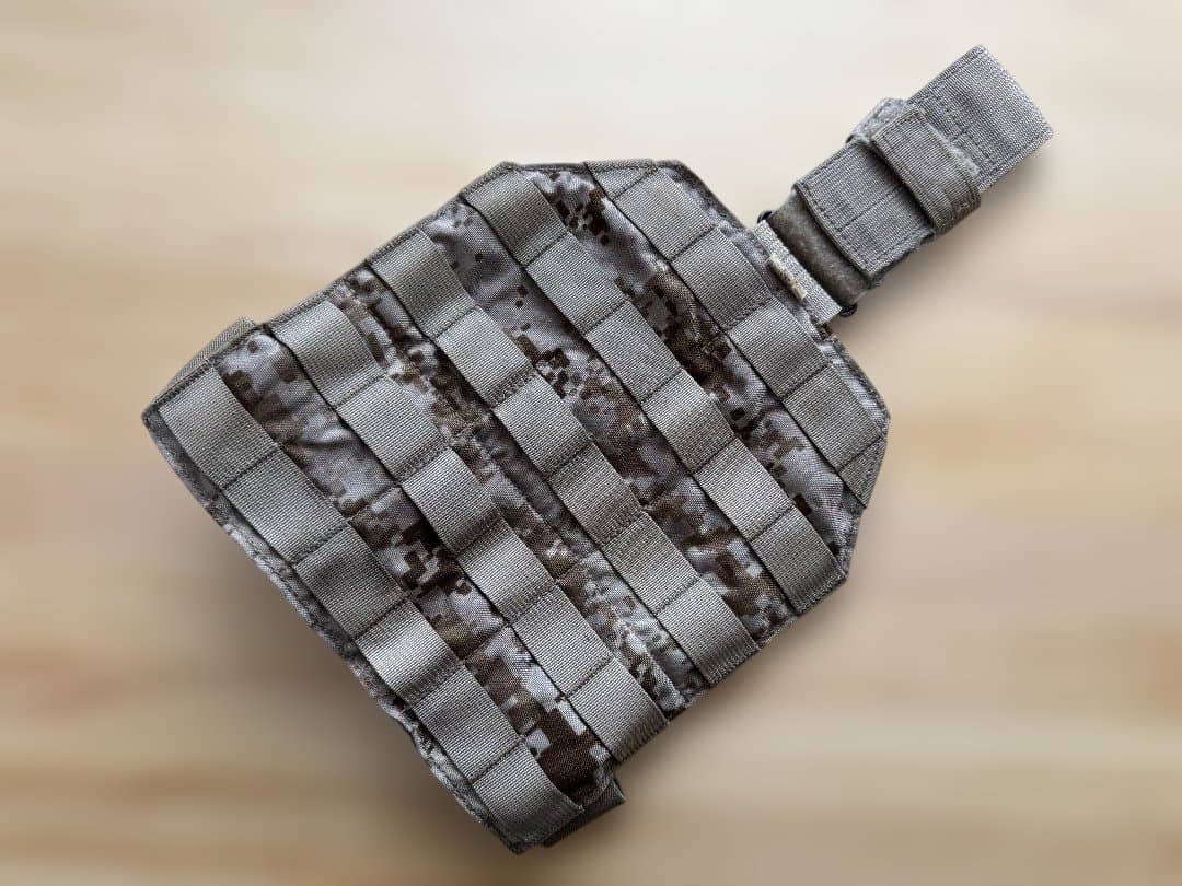 実物 EAGLE aor1 レッグパネル 01/07