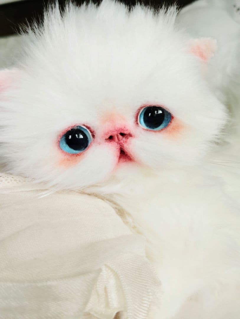 よちよち〜短足♡ころころボディ♡エキゾチック子猫ちゃん♡アートドール♡ぬいぐるみ