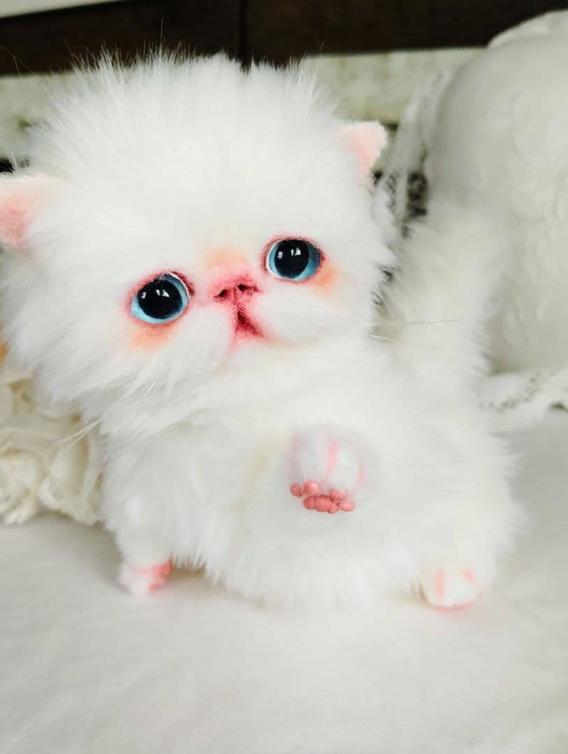 よちよち〜短足♡ころころボディ♡エキゾチック子猫ちゃん♡アートドール♡ぬいぐるみ