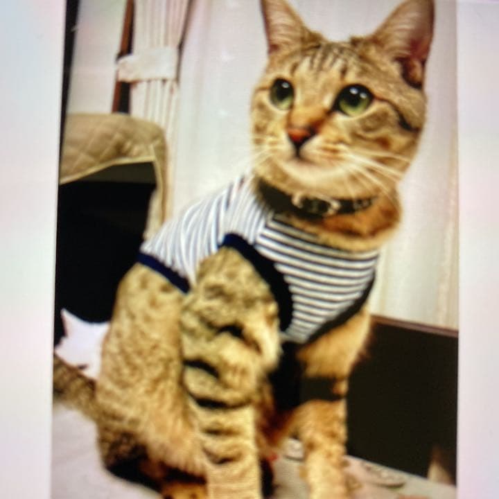 よろしくお願い申し上げます。