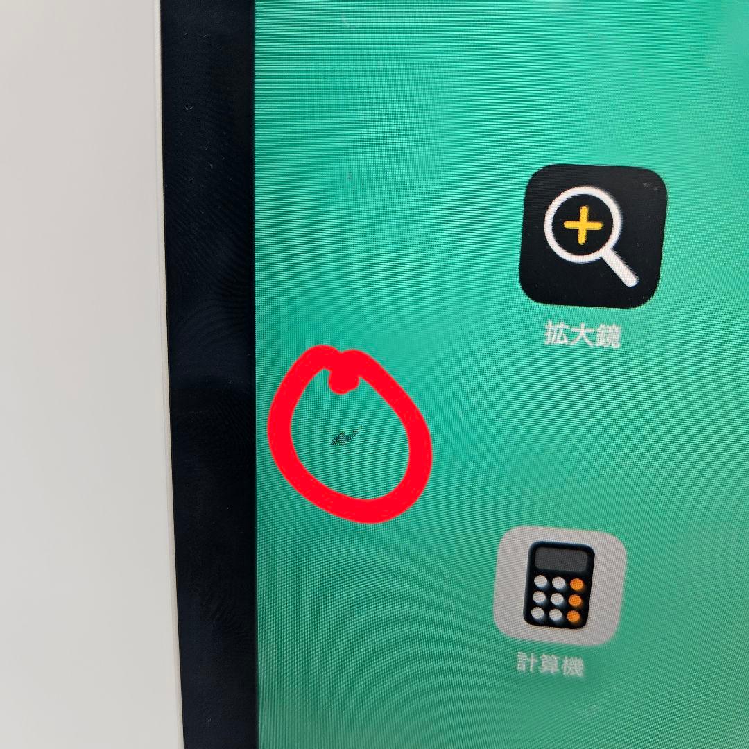 iPad Pro (11 インチ) 256 GB - Wifi Only