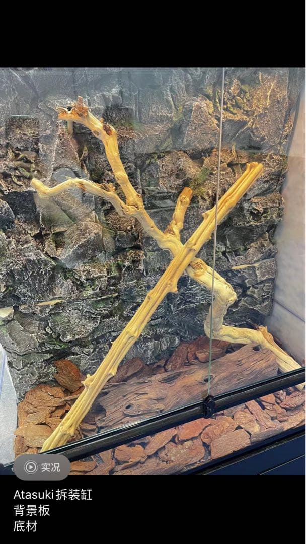 爬虫類用品卸爬虫類飼育ガラスケージ両生類飼育ケージ603030cm首都圏自社発送