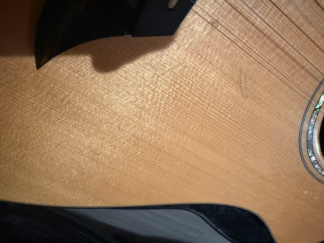 ギター breedlove American c25