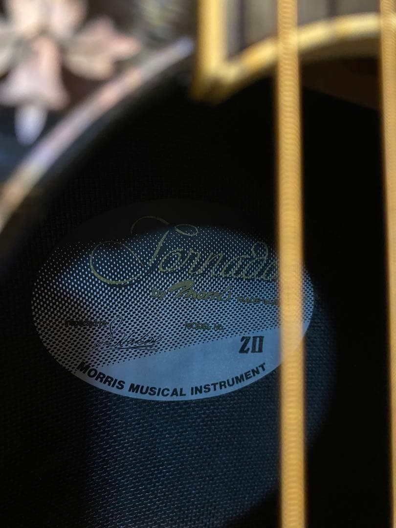 Morris Tornado Z2 (エレアコ)