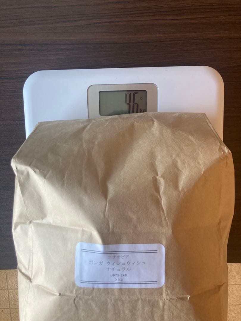 生豆 約10kg