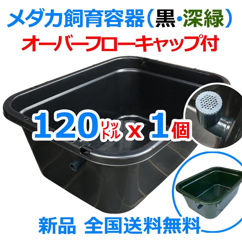 メダカ飼育ケース 120㍑x1個 黒/濃緑指定可 オーバーフロー付 金魚飼育容器