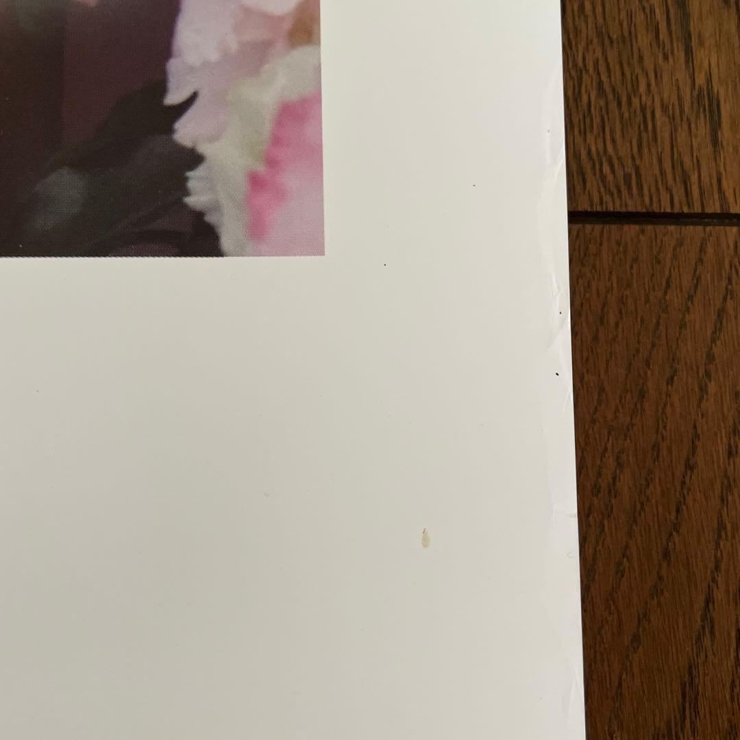 北川景子 シチズン クロスシー 特大壁掛けポスター