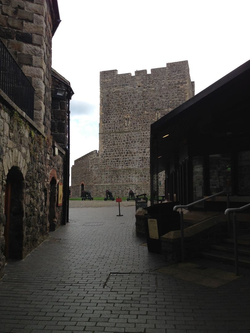 【希少品】北アイルランドジャイアンツ・コーズウェイ 木製の剣3本セットと盾